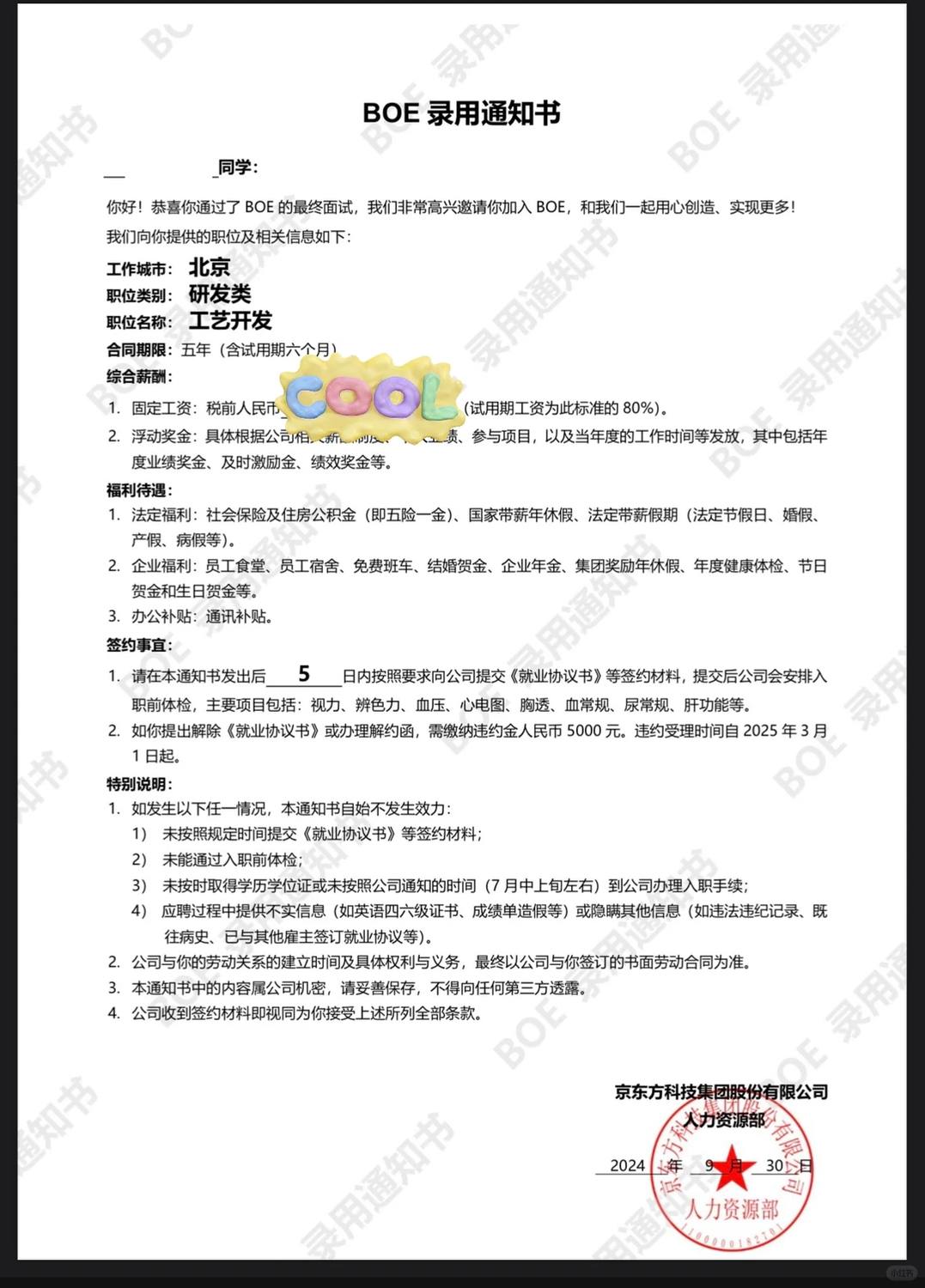 第一个offer，京东方 - 小红书