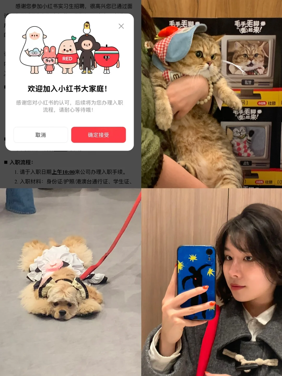 985设计大二 ｜ 3天丝滑入职小红书📕 - 小红书